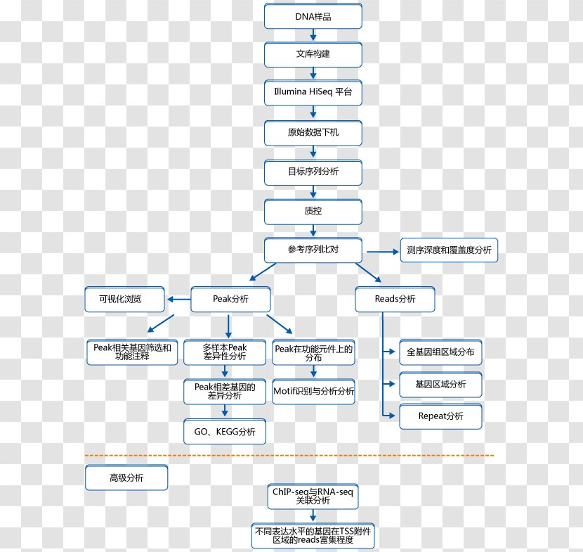 Line Organization Angle Font - Diagram Transparent PNG