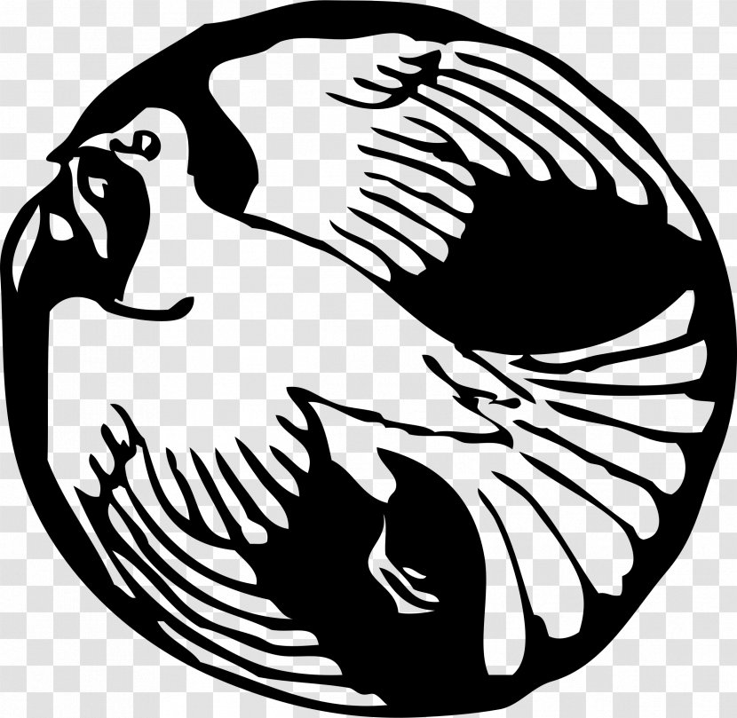 Columbidae Clip Art - Black - White Dove Transparent PNG