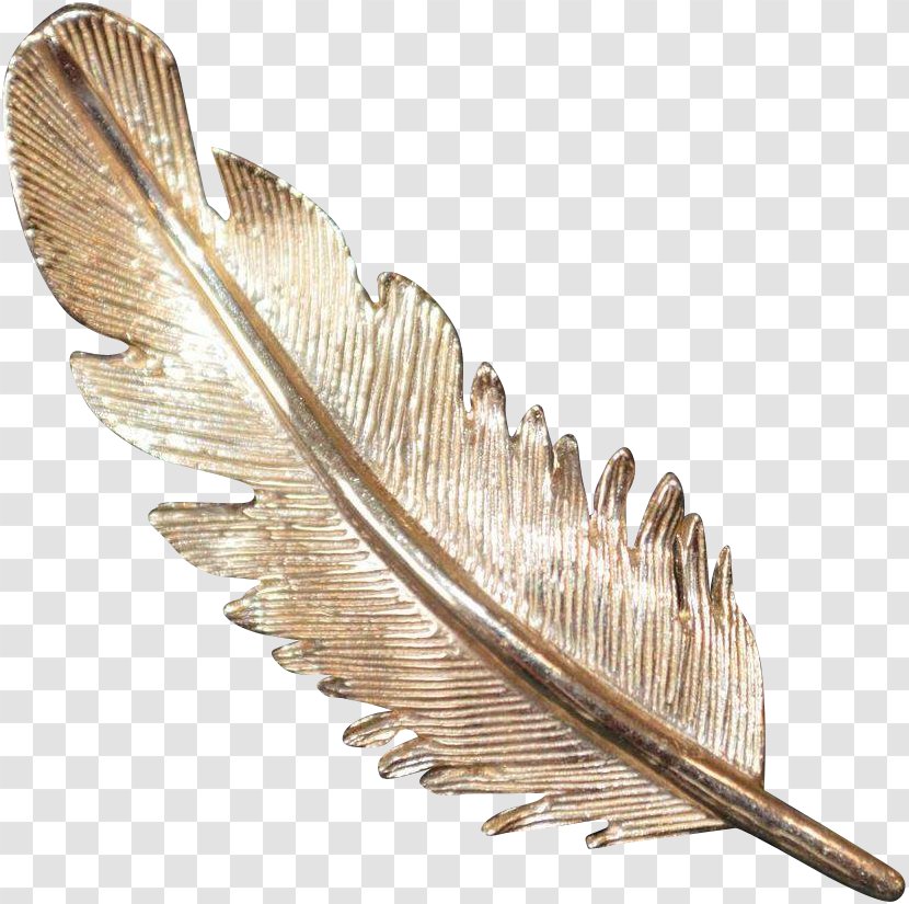 Feather - Wing Transparent PNG