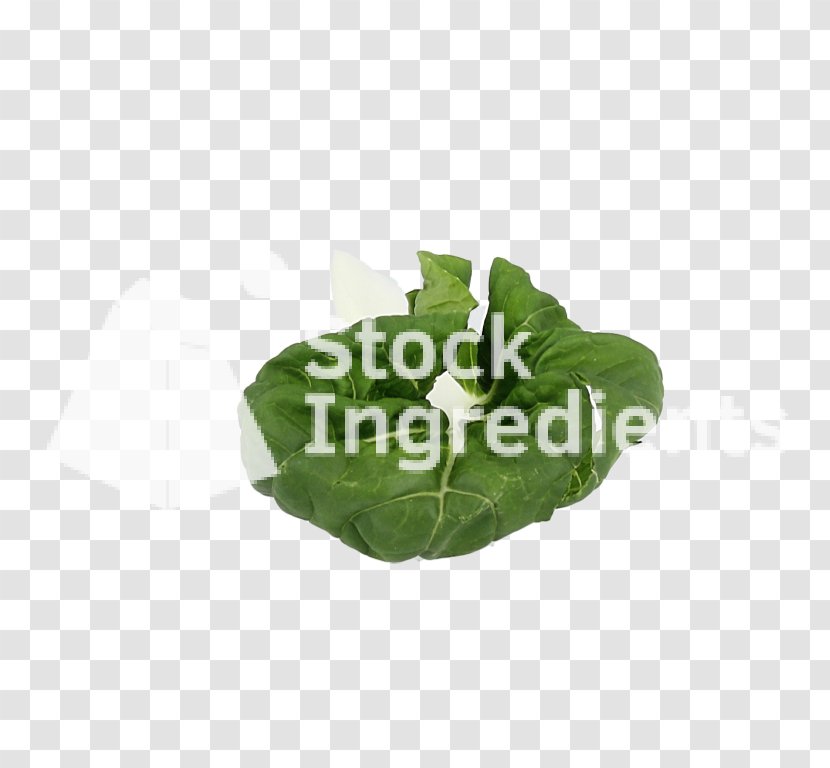 Leaf Vegetable Plastic Flowerpot - Bok Choy Transparent PNG