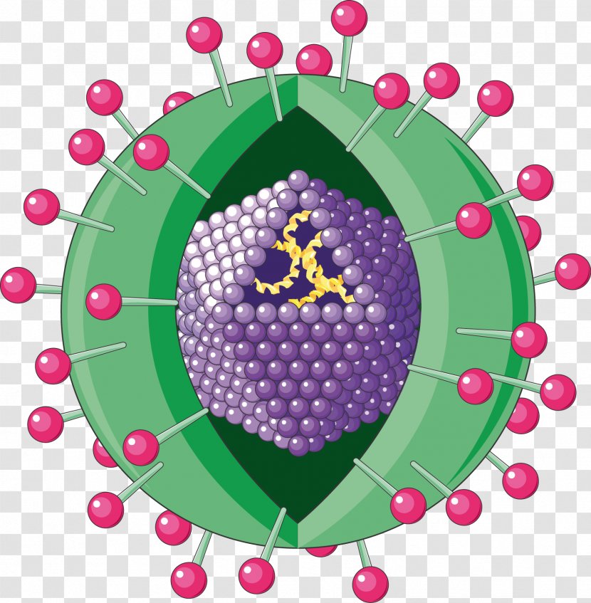 Viral Hepatitis A Virus - Cyst Transparent PNG