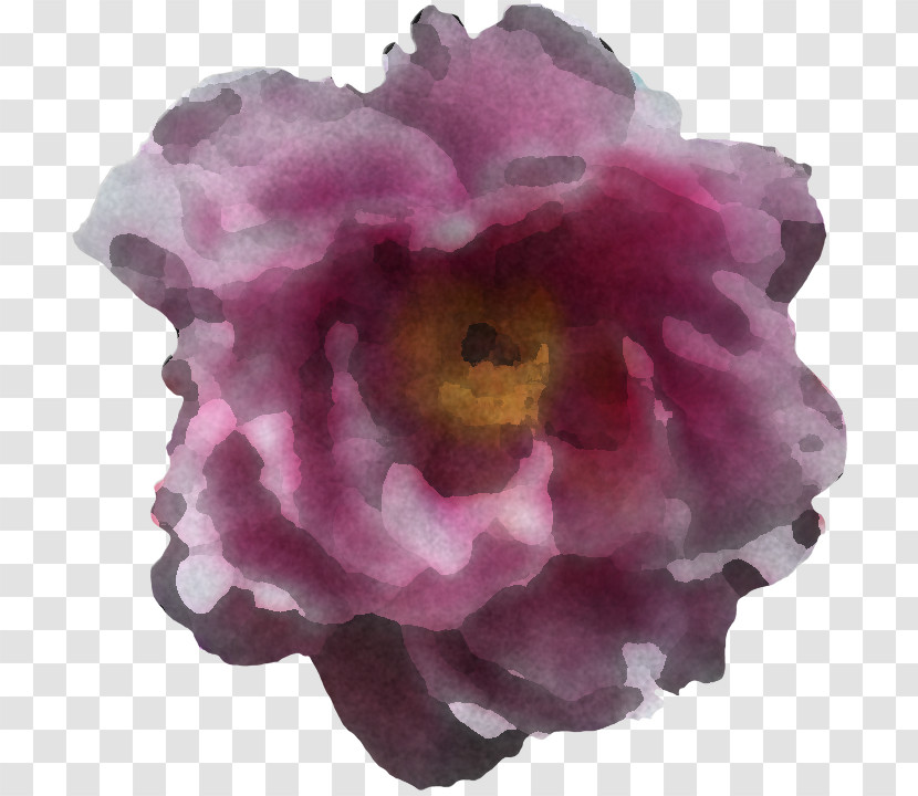 Artificial Flower Transparent PNG