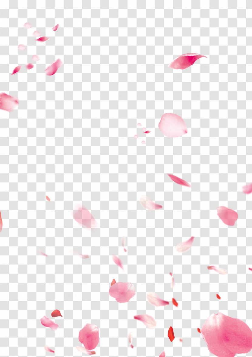 Fundal Download - Heart - Peach Petals Decorated Background Material Transparent PNG