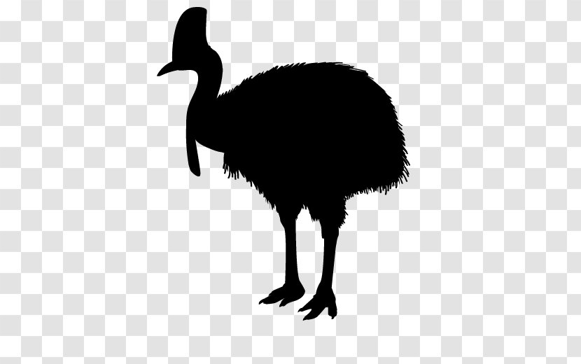 Emu Common Ostrich Clip Art Fauna Silhouette - Fowl Transparent PNG