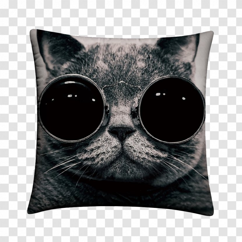 Star Cat Cushion - Throw Pillow - Snout Transparent PNG