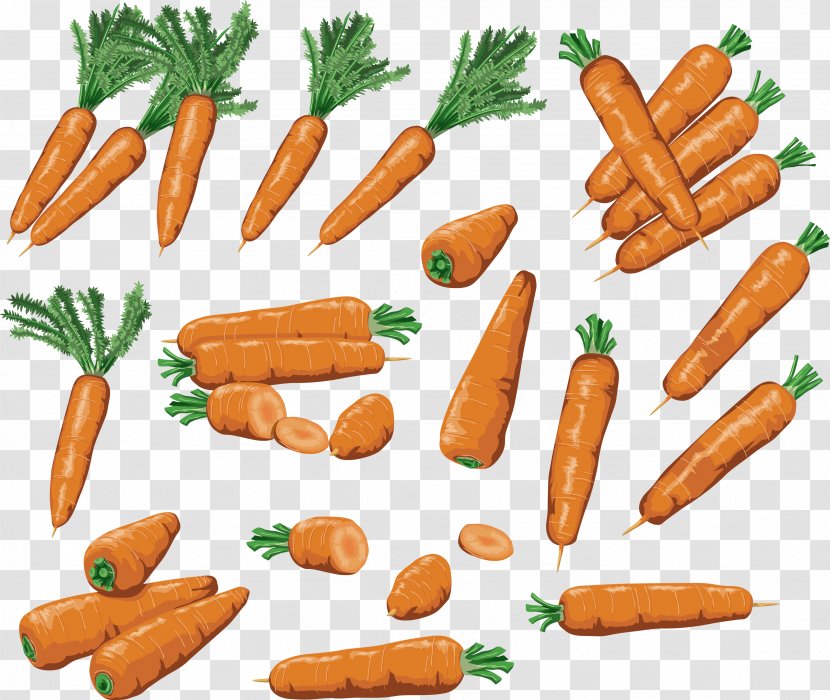 Baby Carrot Root Vegetables Food - Vitamin C - Carrots Image Transparent PNG