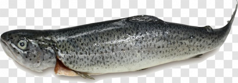 Salmon 09777 Meat Analogue Oily Fish - Good Make Pills Transparent PNG