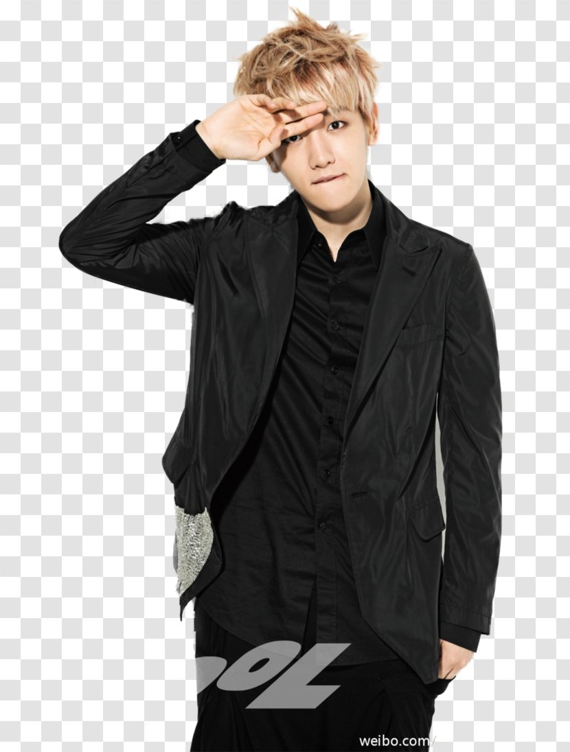 Baekhyun EXO Growl S.M. Entertainment Musician - Xoxo - Wolf Transparent PNG