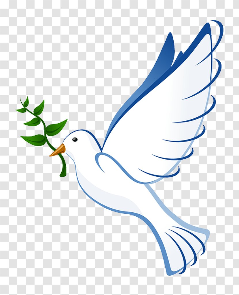 Columbidae Bird Doves As Symbols Olive Branch Clip Art - Leaf Transparent PNG