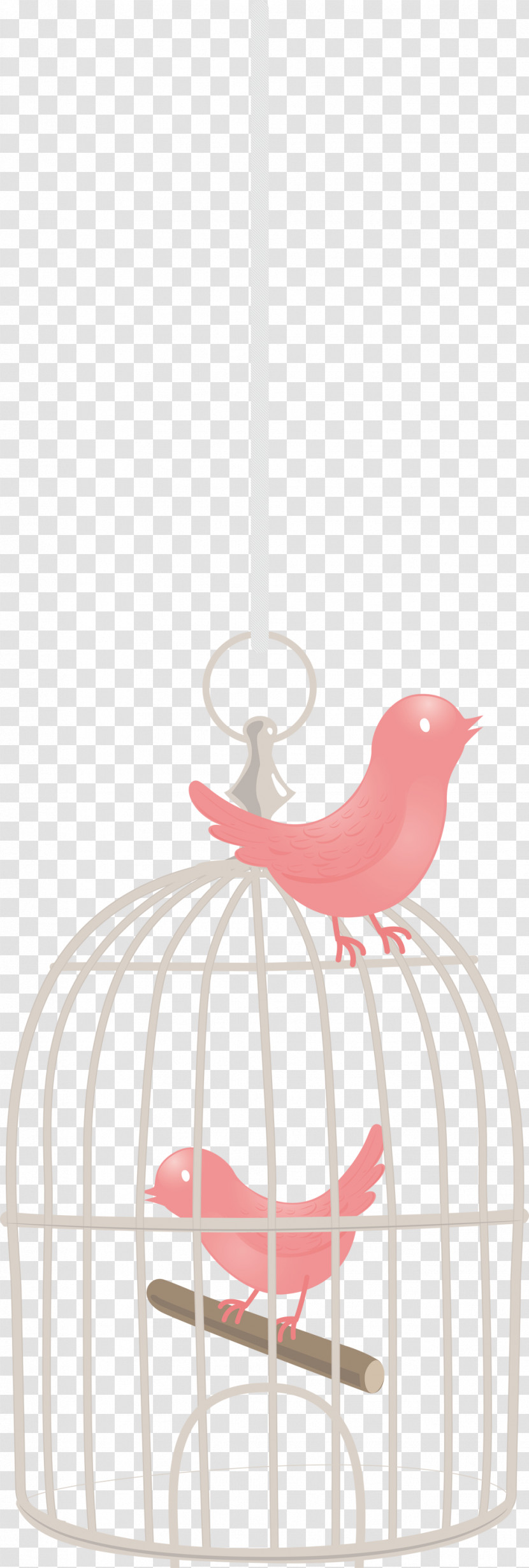 Bird Cage Transparent PNG