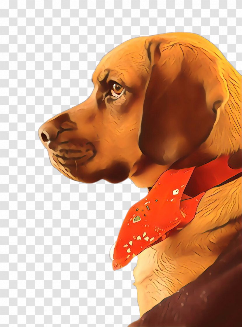 Mountain Cartoon - Snout - Bavarian Hound Tyrolean Transparent PNG