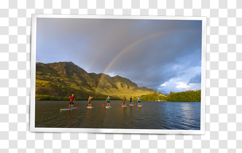Standup Paddleboarding Kauai SUP Stand Up Paddle Courtyard By Marriott Kaua'i At Coconut Beach Surfing - Resort Transparent PNG