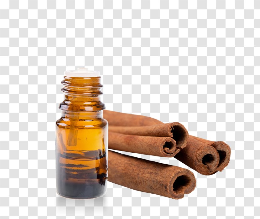 Essential Oil Sandalwood True Cinnamon Tree Transparent PNG