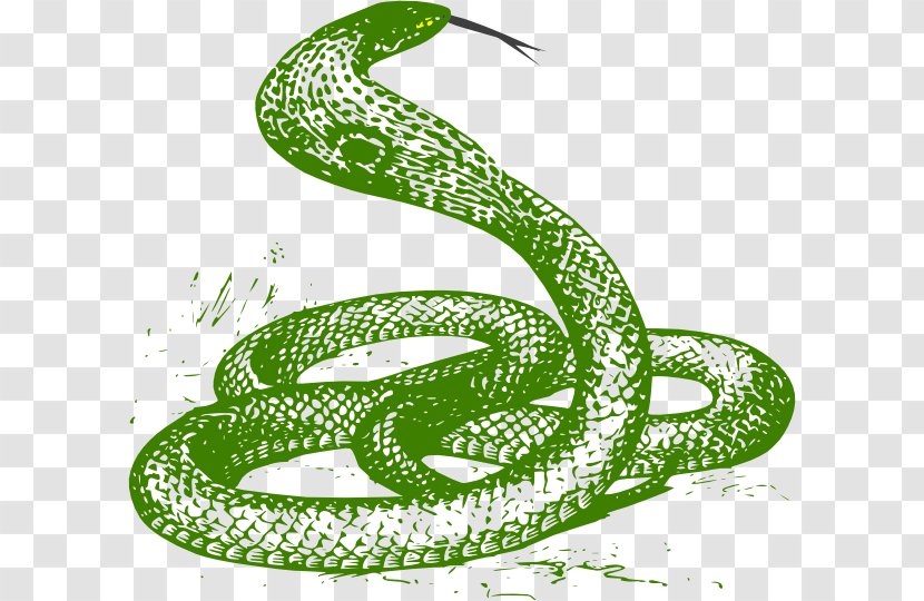 Snake Drawing King Cobra - Rattlesnake - Anaconda Transparent PNG