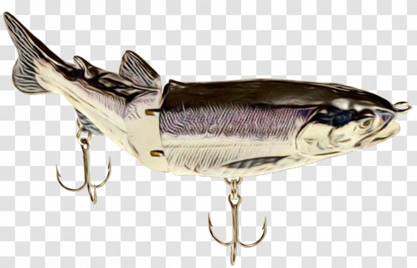 Fishing Cartoon - Free Market - Catfish Bait Transparent PNG