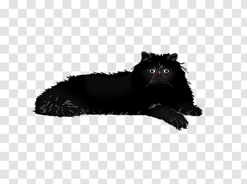 Whiskers Cat Dog Fur Canidae Transparent PNG