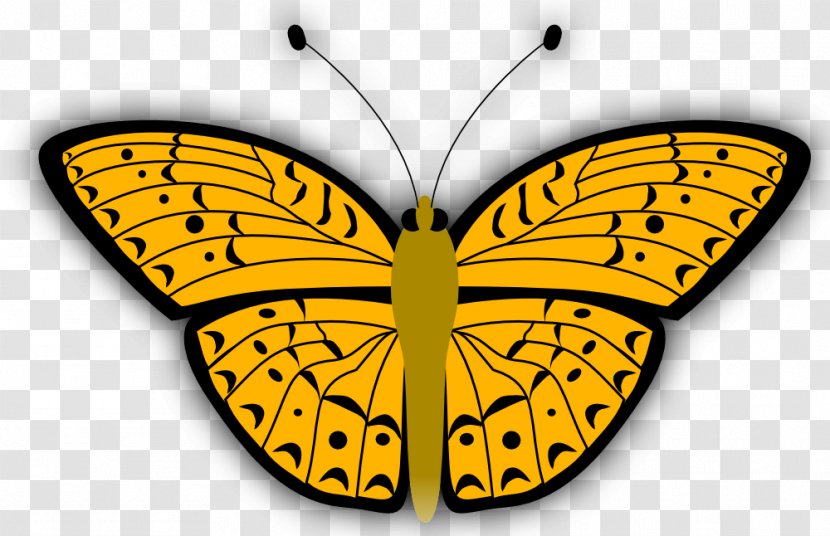 Butterfly Clip Art - Drawing Transparent PNG