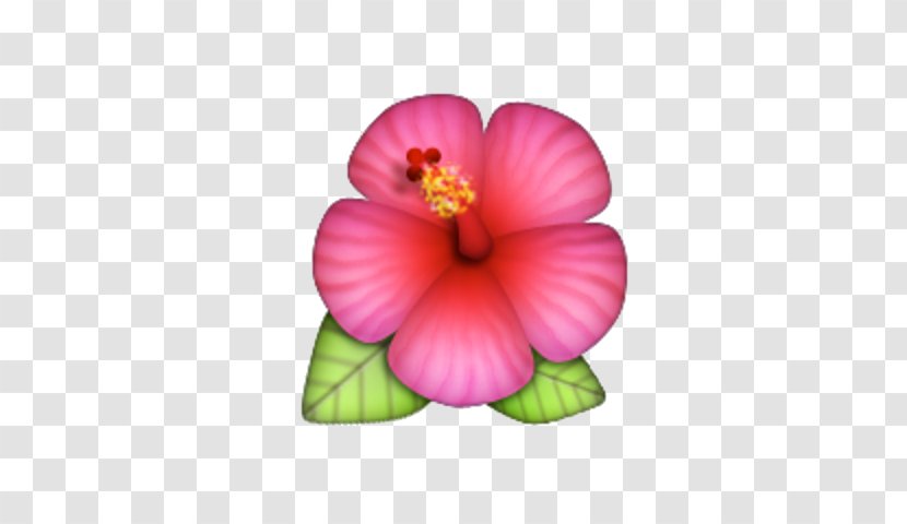 Emoji Pop! Hibiscus IPhone Emojipedia - Flower Transparent PNG