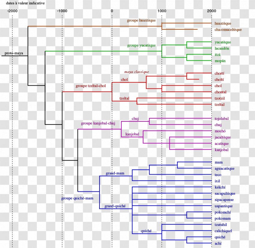 Tree Model Language Family Mayan Languages Linguistics - Historical Transparent PNG