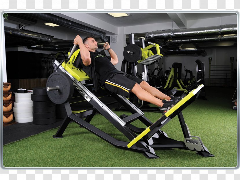 Fitness Centre Exercise Machine Physical Sports Training - Gym - Squats Transparent PNG