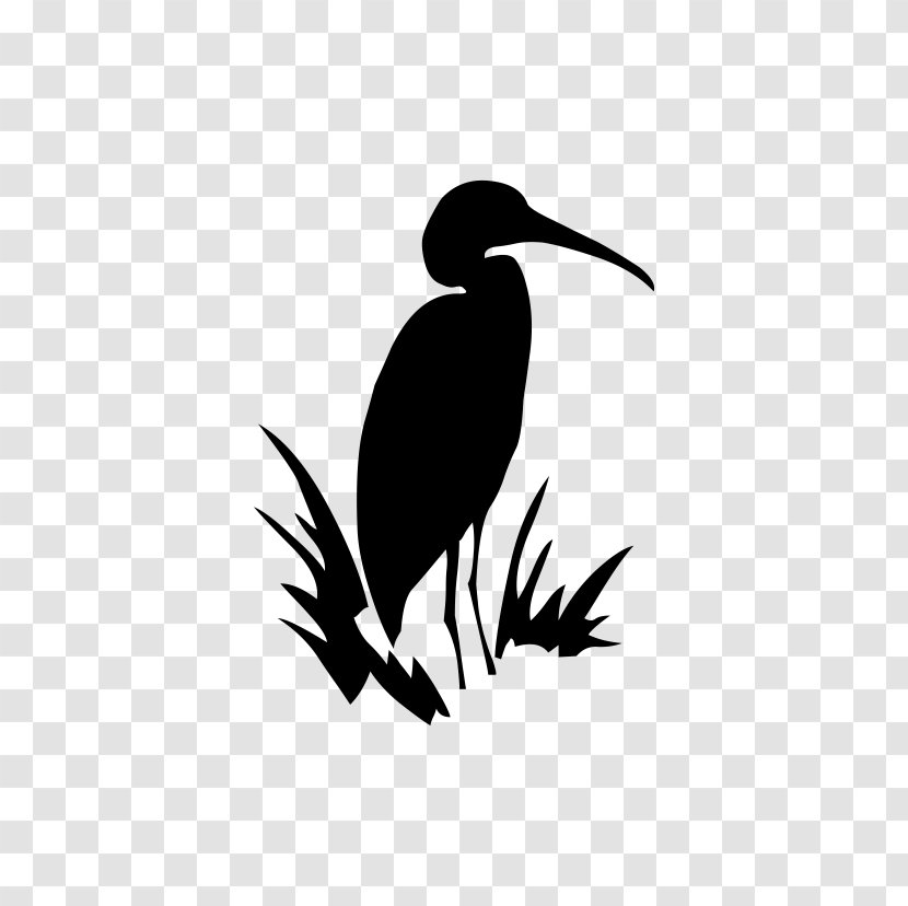 Beak Bird Crane Fauna Font - Vertebrate Transparent PNG