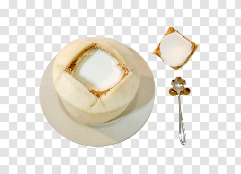 Coconut Custard Designer - Search Engine - A Delicious Made From Shells Transparent PNG