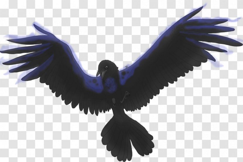 Bird American Crow Wing - Spread Transparent PNG