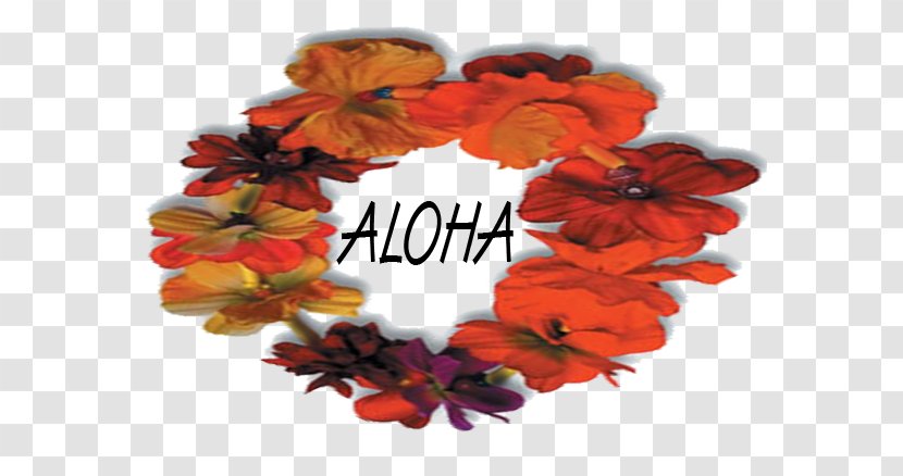 Hawaiian Maui Language Aloha Hello - Hawaii Transparent PNG