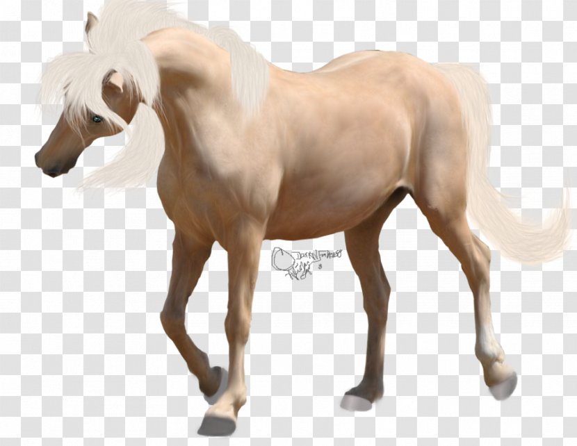 American Paint Horse Foal Mane Mustang Andalusian - Pinto Transparent PNG