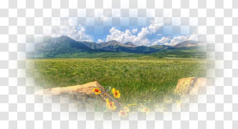 Water Resources Mountain Ecosystem Hill Station Advertising - Grass Transparent PNG