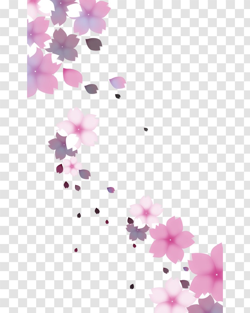 Cherry Blossom Flower - Floral Design - Falling Transparent PNG