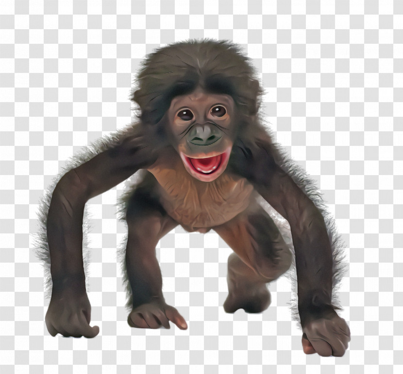 Old World Monkey Mouth New World Monkey Common Chimpanzee Laugh Transparent PNG