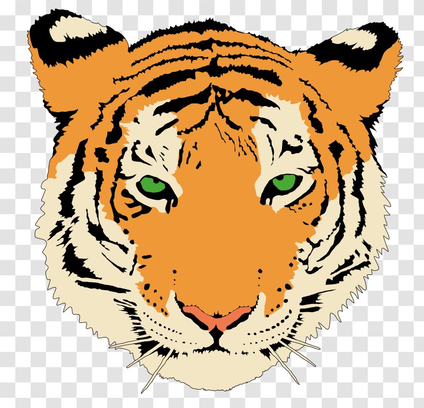 Bengal Tiger Cat Felidae Big Clip Art - Artwork - Like Mammal Transparent PNG