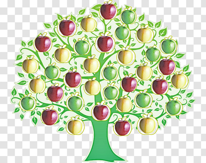 Plant Fruit Food Transparent PNG