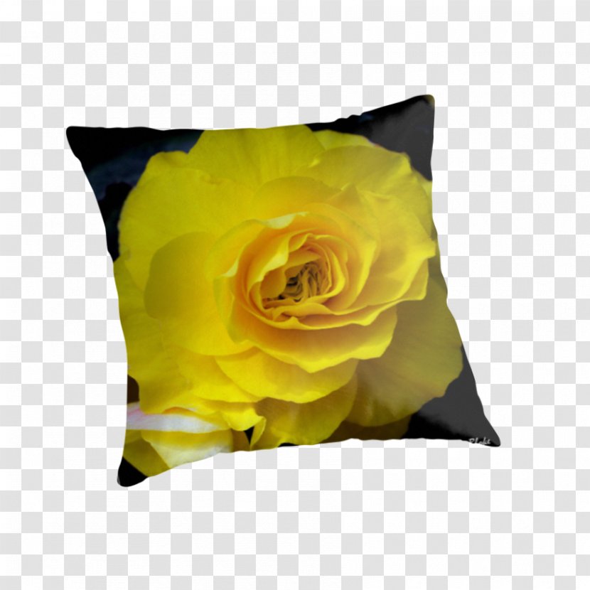 Throw Pillows Cushion Rose Family - Petal - Pillow Transparent PNG