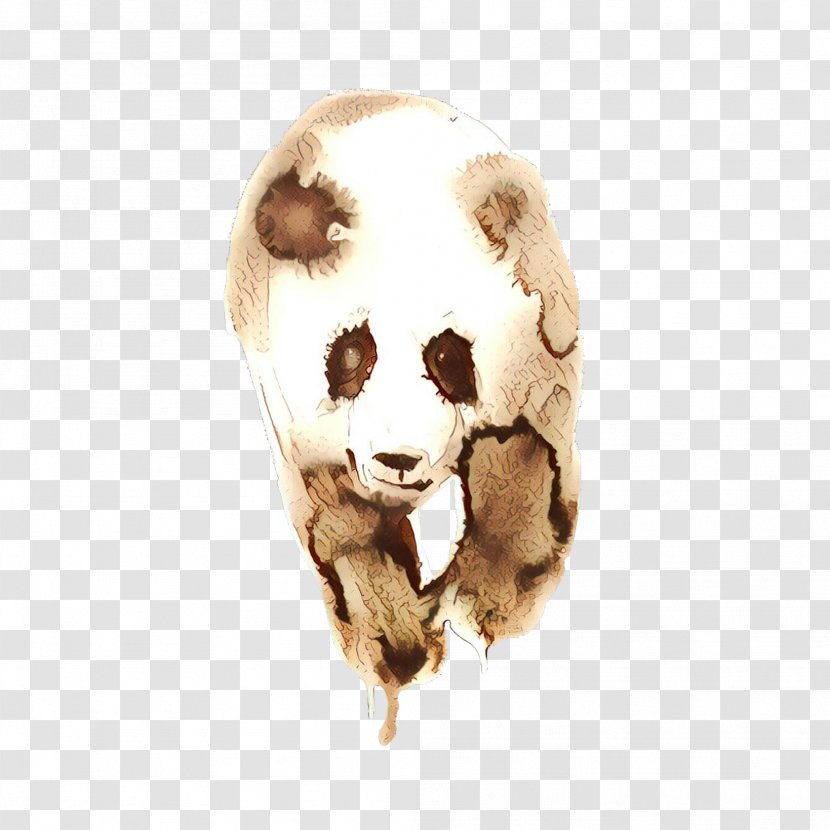 Dog Bone - Skull Transparent PNG