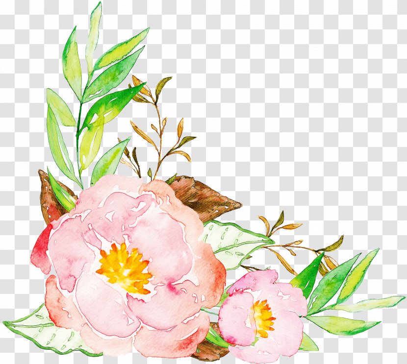 Flower Plant Pink Clip Art Chinese Peony - Common Flowering Transparent PNG