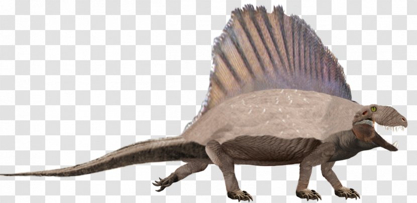 Dinosaur Dimetrodon Limbatus Neural Spine Sail Animal - Fauna Transparent PNG
