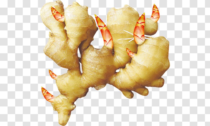 Ginger - Upload - Food Transparent PNG