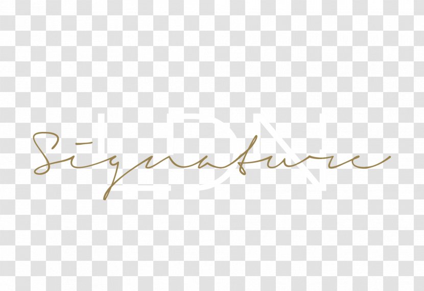 Calligraphy Line Angle Brand Font Transparent PNG