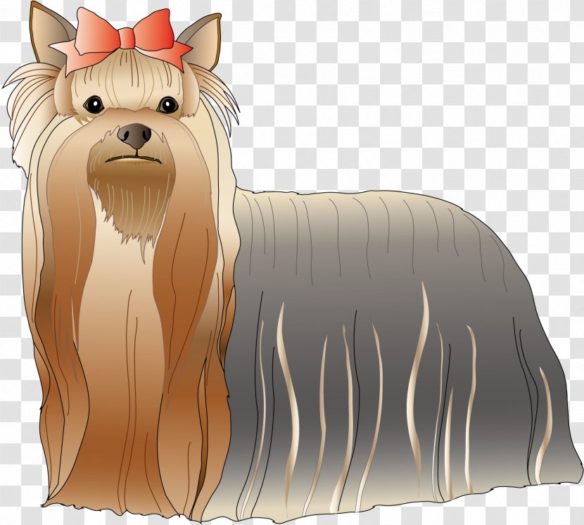 Yorkshire Terrier Cairn Dog Breed Toy - Skye Transparent PNG