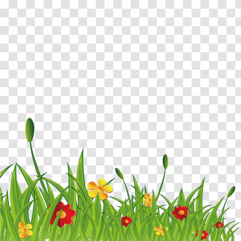 Grass Wildflowers - Flora - Green Transparent PNG