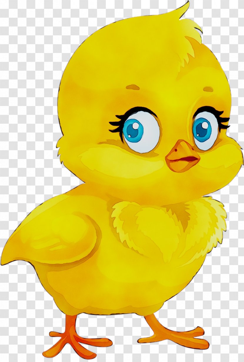 Illustration Clip Art Yellow Beak Chicken As Food - Animation Transparent PNG