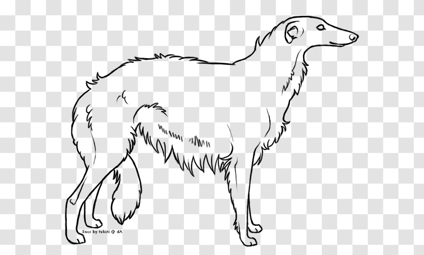 Puppy Dog Breed Borzoi Light - Mammal Transparent PNG