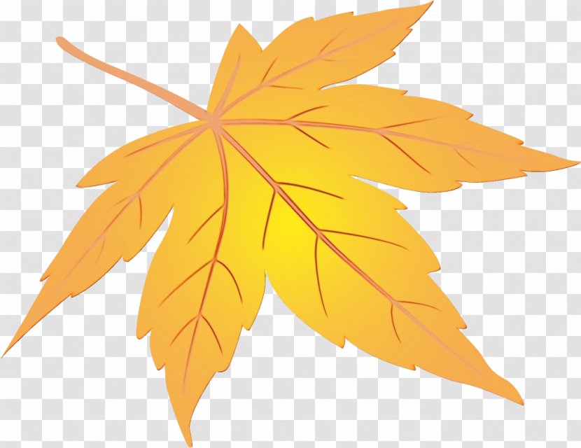 Maple Leaf - Wet Ink - Plane Orange Transparent PNG