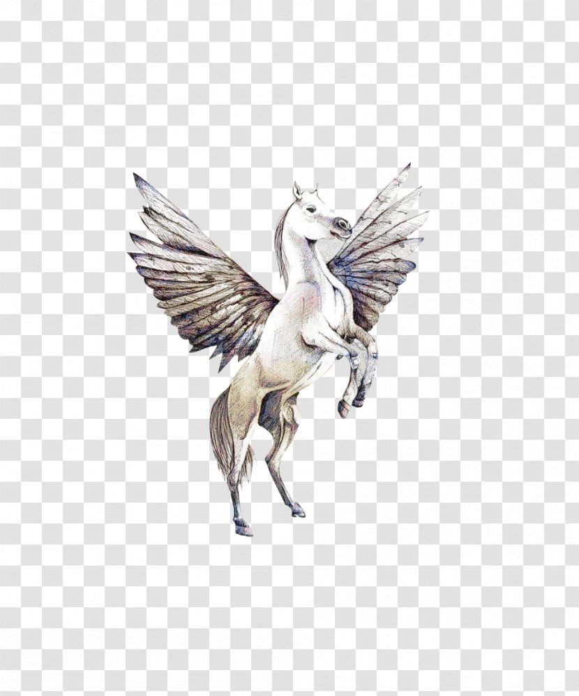 Wing Pegasus - Fictional Character Transparent PNG