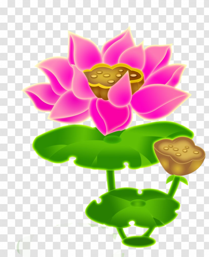 Nelumbo Nucifera Budaya Tionghoa Lotus Root Effect - Chinese Painting Transparent PNG