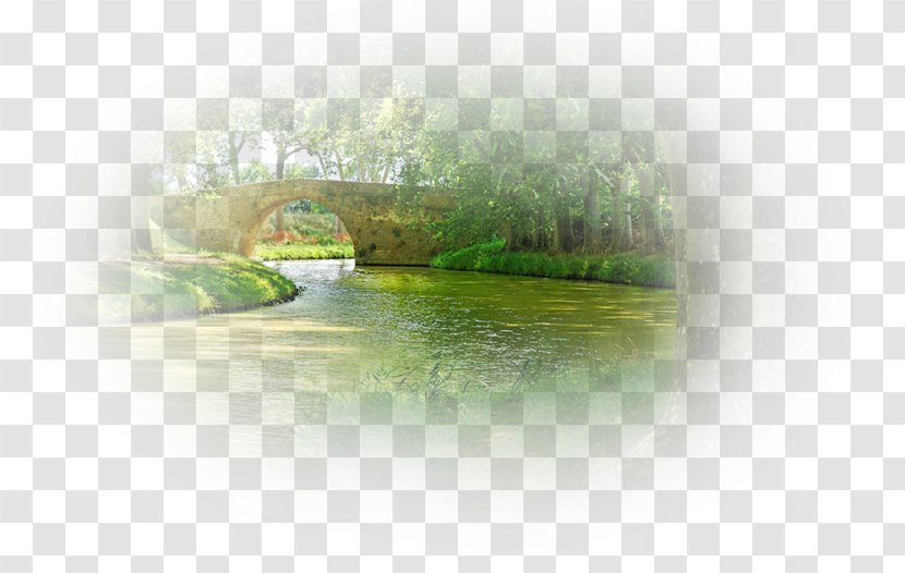 Water Resources Green Desktop Wallpaper Lawn - Tree - Design Transparent PNG