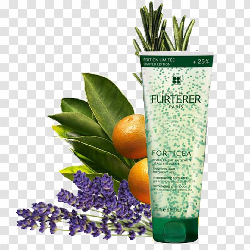 René Furterer FORTICEA Stimulating Shampoo Milliliter Herbalism - Ounce Transparent PNG