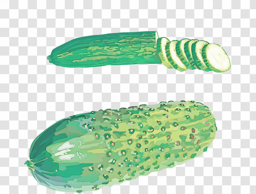 Green Cucumber Vegetable Cucumis Luffa Transparent PNG